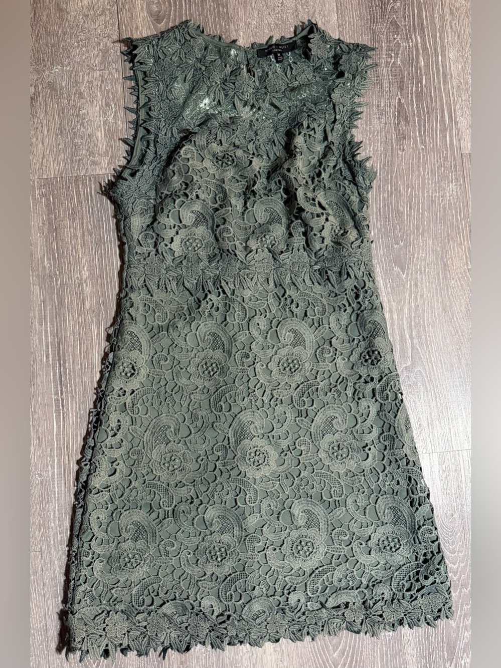 Romeo & Juliet Couture Olive Green Lace Mini Dress